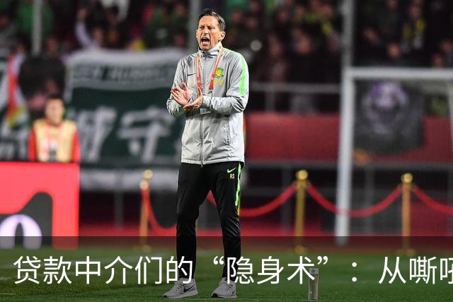 贷款中介们的“隐身术”：从嘶吼到静默的奇妙转变